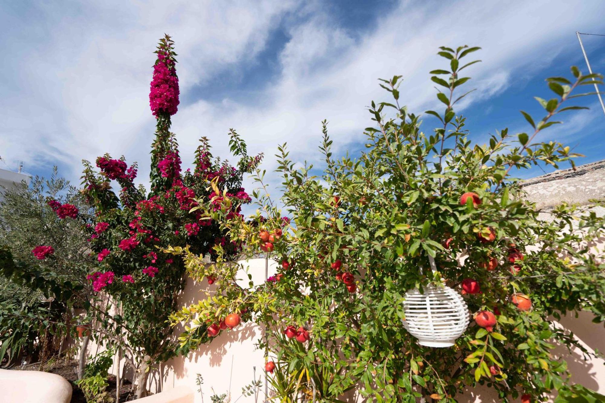 Santorini Oasis- Cave House Villa Fira  Ngoại thất bức ảnh